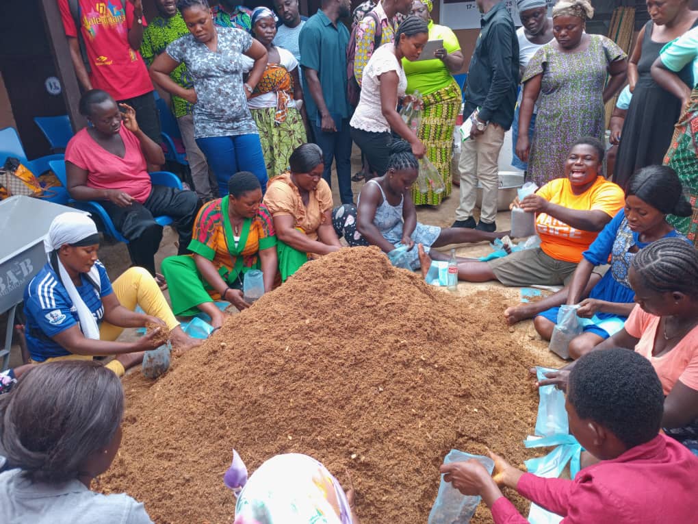 Sustainable Livelihoods