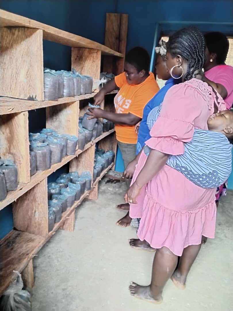 Sustainable Livelihoods