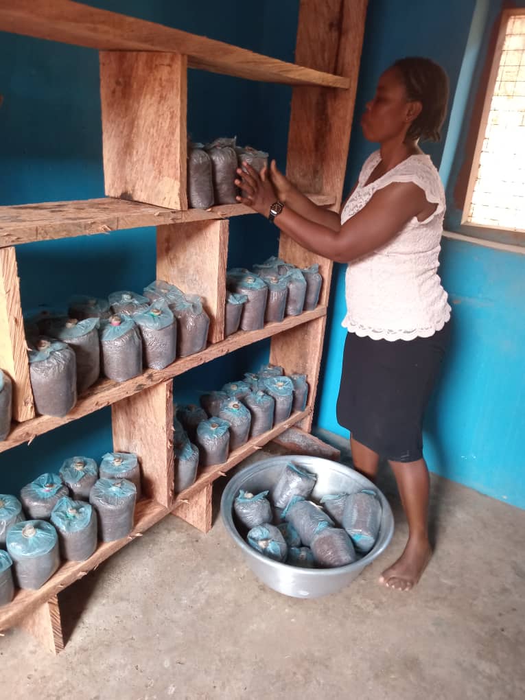 Sustainable Livelihoods