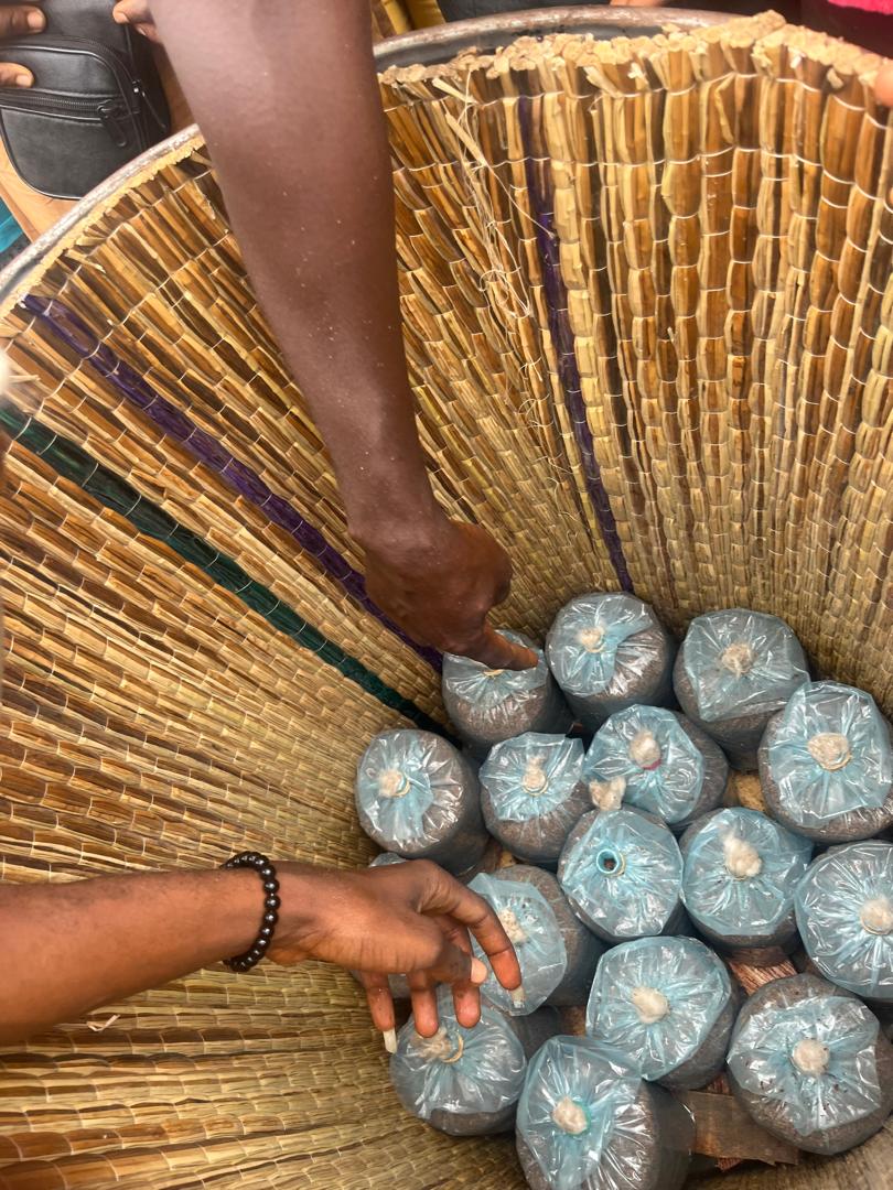 Sustainable Livelihoods