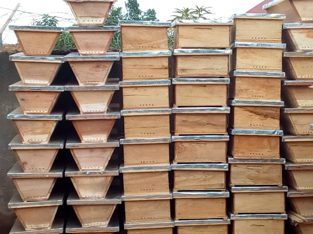 Sustainable Livelihoods