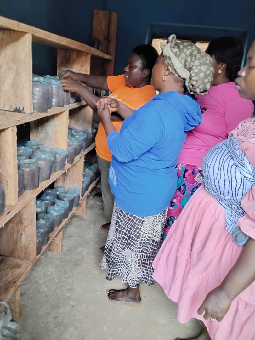 Sustainable Livelihoods